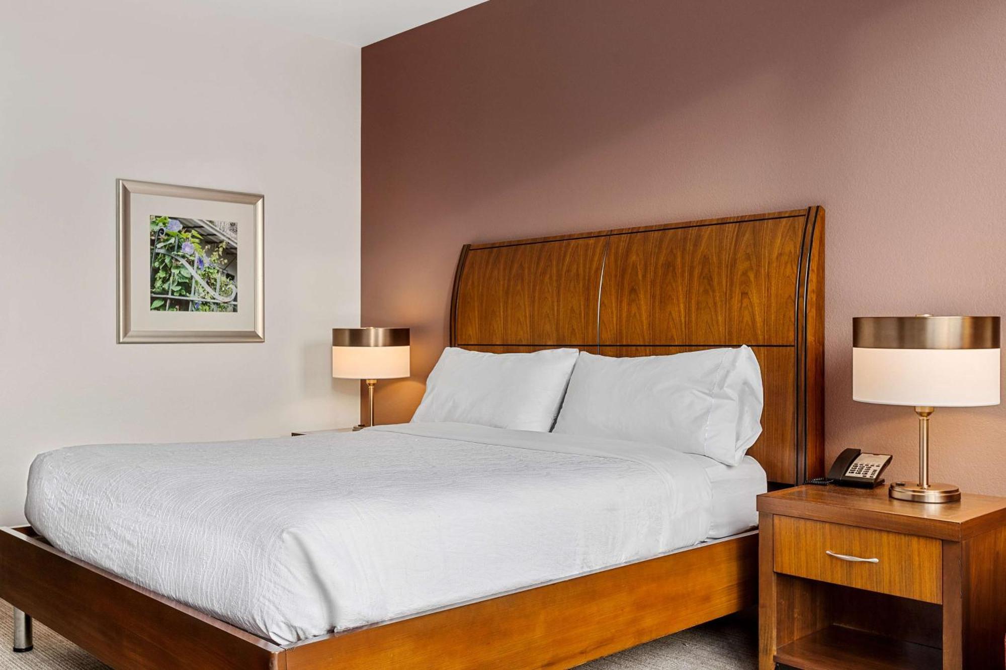 Hilton Garden Inn New Orleans French Quarter/Cbd Экстерьер фото